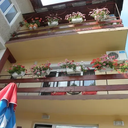 Family Vityaz House Apartament Welingrad