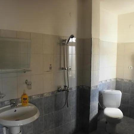 Family Vityaz House Apartament Welingrad